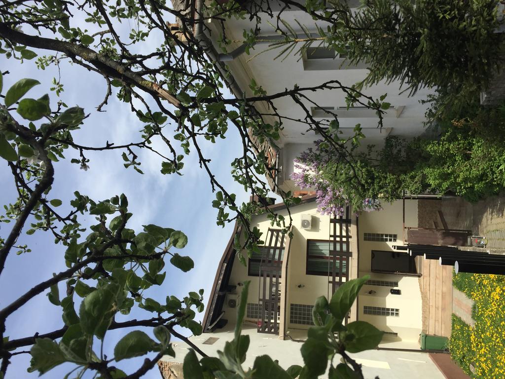 Casa Transilvania Braşov Buitenkant foto